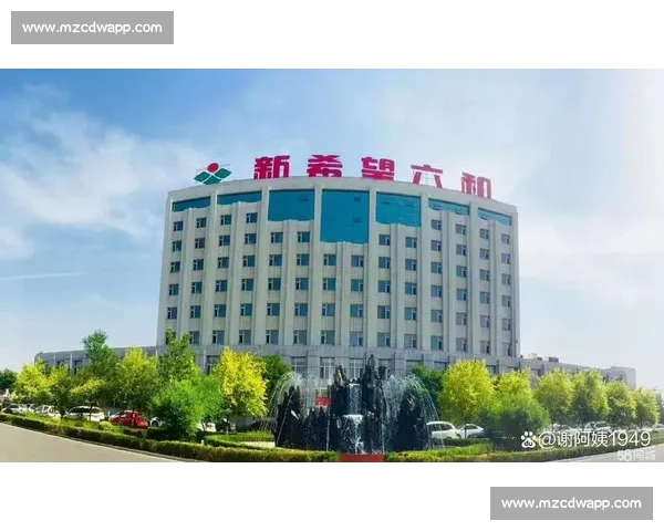 位居榜首彰显实力引领行业新高度与时代潮流同行共创未来发展新格局